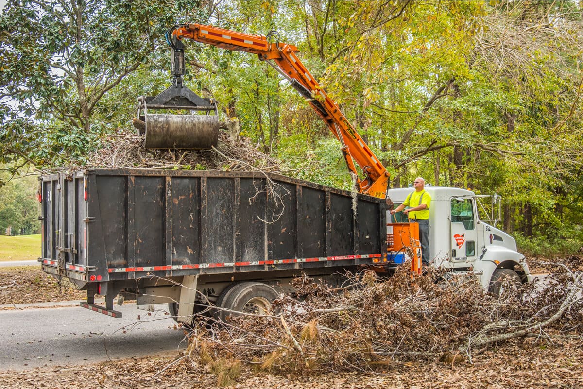 Yard Waste Removal